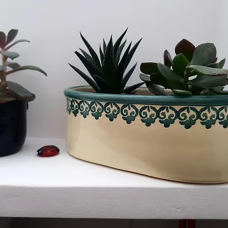 La Mansarda Delle Mongolfiere 토리노